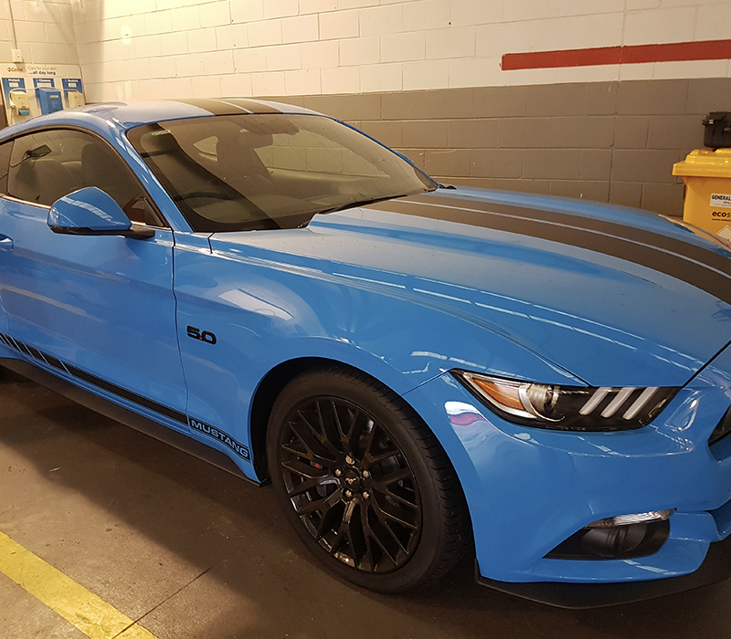 scotchlinegraphicfx mustangblue 002