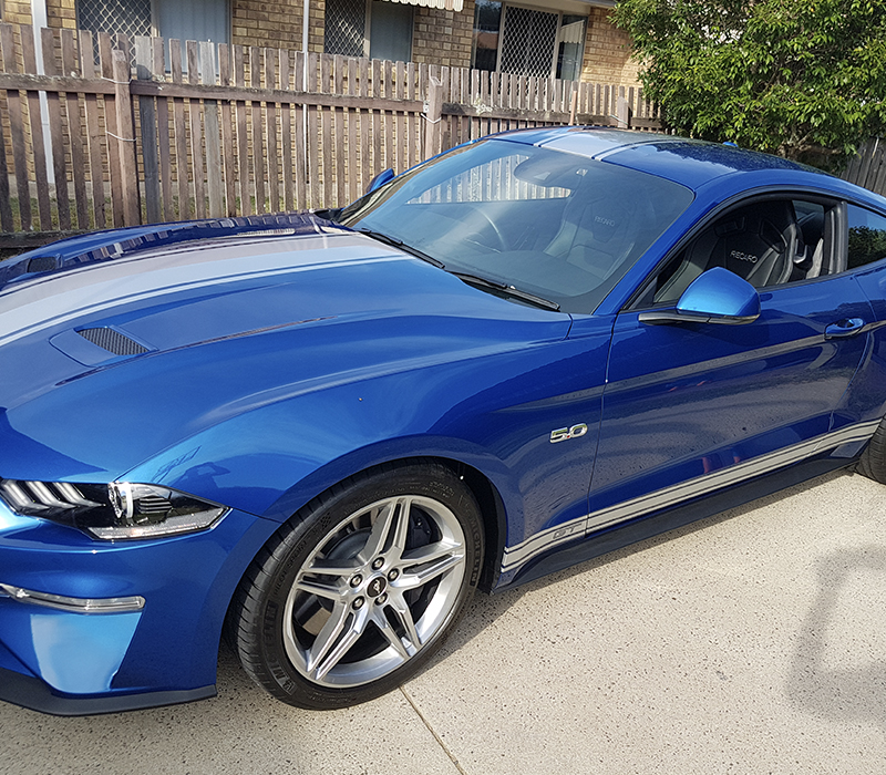 scotchlinegraphicfx mustangblue 005